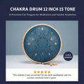 Rainzio Chakra Drum 12 inch 15-Tone (FREE SHIPPING - TODAY ONLY)